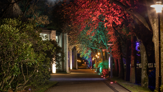 Beleuchteter Bäume-Durchgang der königlichen Anlagen