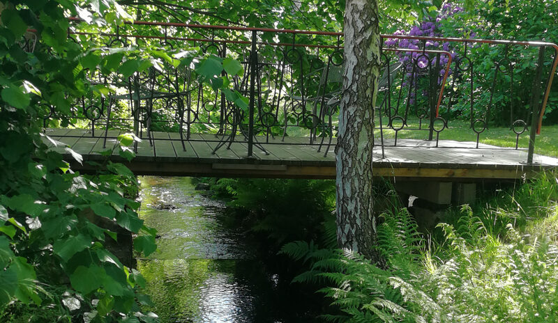 Eine Brücke über einen Bach umgeben von Bäumen und Sträuchern