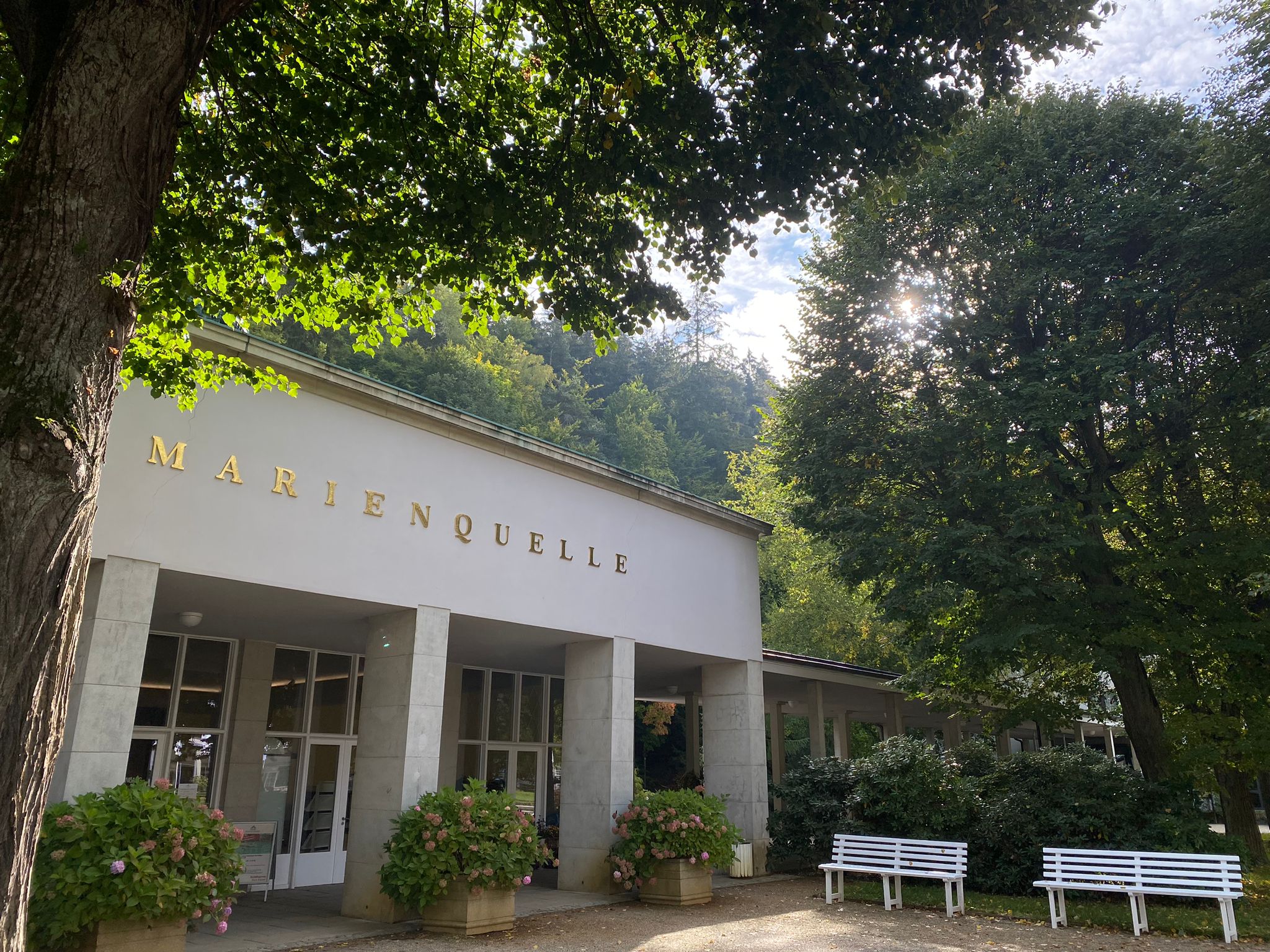 Froschperspektive zum Schriftzug Marienquelle am Haus, die Sonne scheint durch die Baumkronen hervor