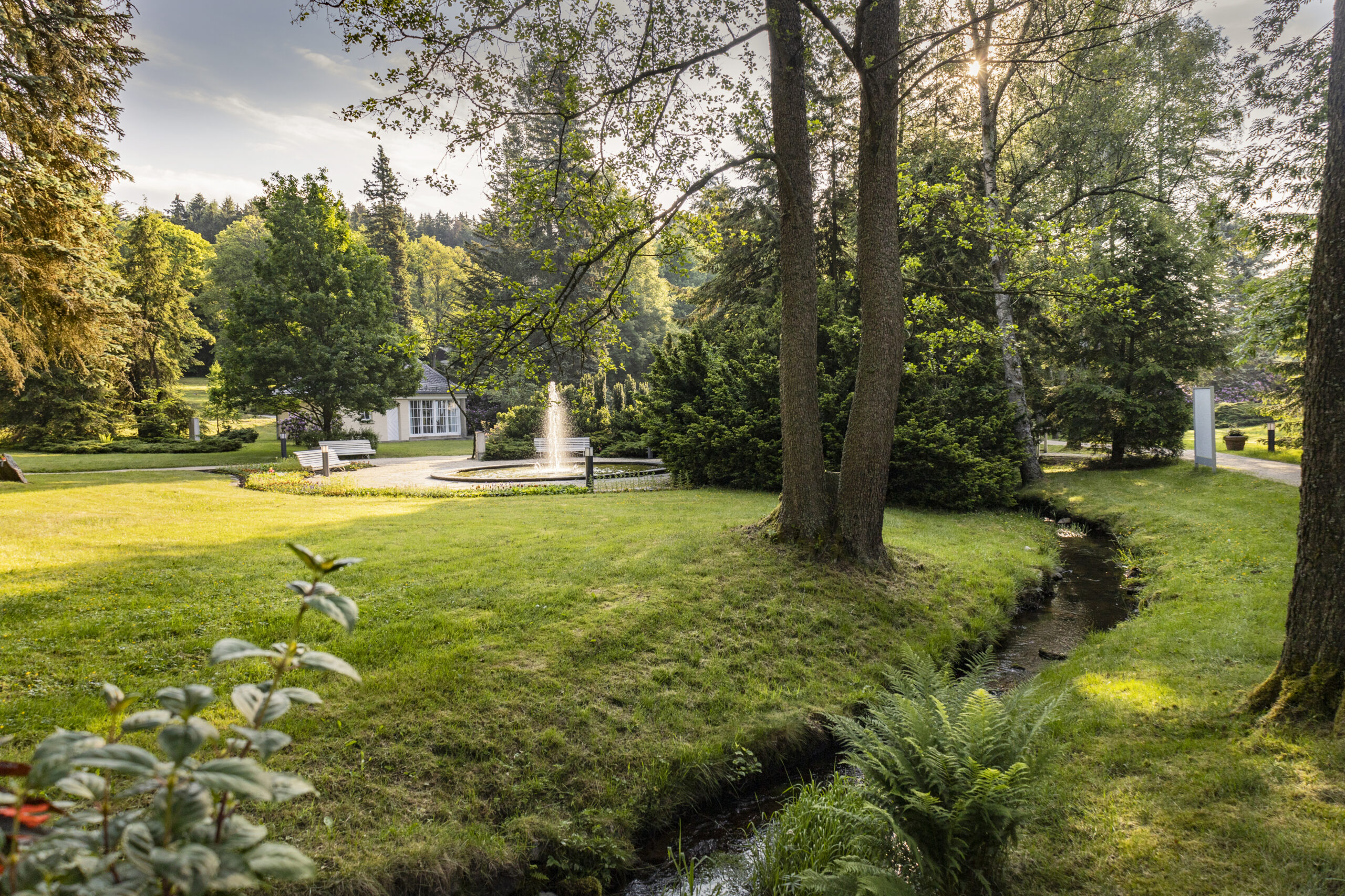 Ansicht von der Natur umgebenen historischen Kurpark in Bad Brambach